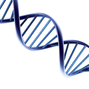 DNA PNG