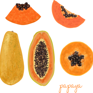 Papaya PNG
