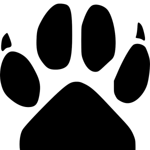 Paw PNG