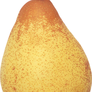 Pear PNG image