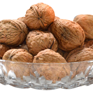 Walnut PNG