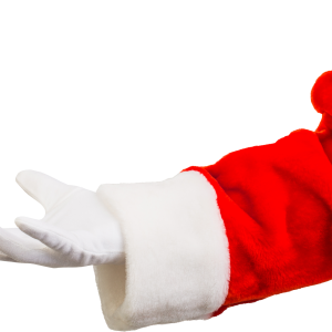 Santa Claus hand PNG