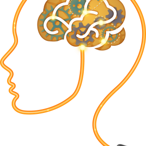Brain PNG
