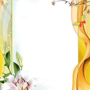 Picture, photo frame PNG