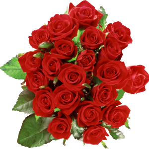 Rose PNG