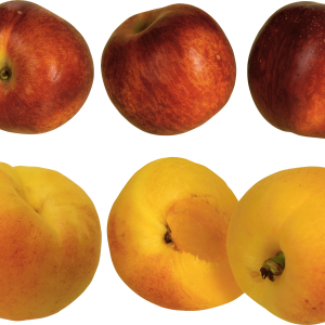 Peach PNG image