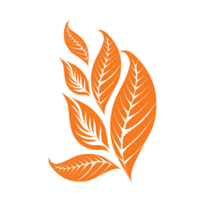 Tobacco PNG