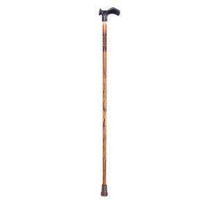 Walking stick PNG