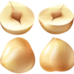 hazelnut PNG