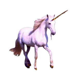 Unicorn PNG