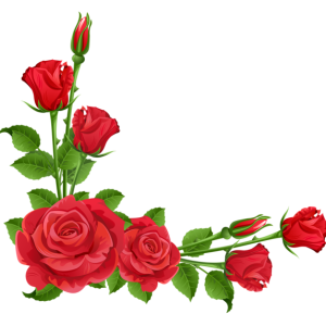 Rose PNG