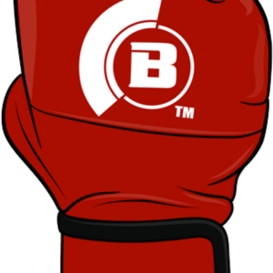 MMA gloves PNG