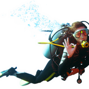 Diver PNG