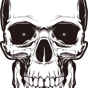 Skull PNG