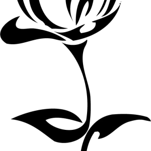 Tattoo rose PNG image
