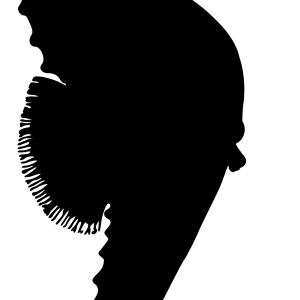 Seahorse PNG
