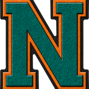 Letter N PNG