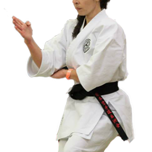 Karate PNG