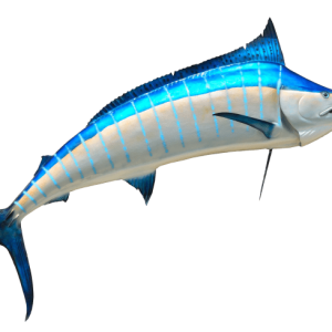 Swordfish PNG