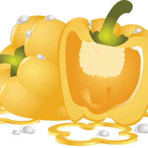Bell pepper PNG