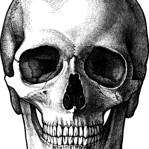 Skull PNG