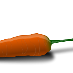Carrot PNG image