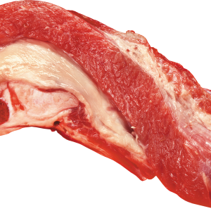 meat PNG