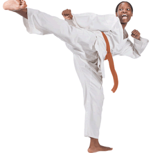 Karate PNG