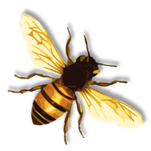 Bee PNG