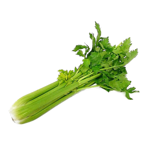 Celery PNG