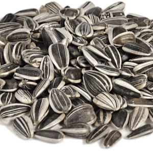 Sunflower seeds PNG