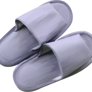 Slippers PNG