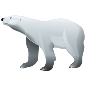 Polar white bear PNG