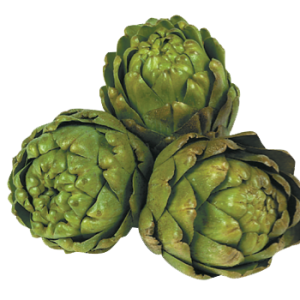 Artichoke PNG