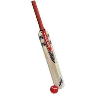 Cricket bat PNG
