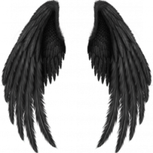 Wings PNG