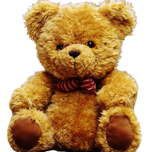 Teddy bear PNG