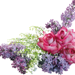 Lilac PNG