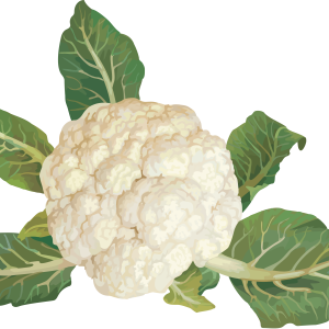 Cauliflower PNG