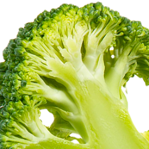 Broccoli PNG