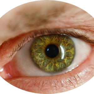 Eye PNG