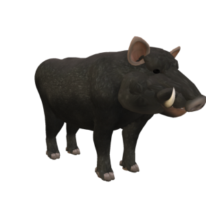 Boar PNG