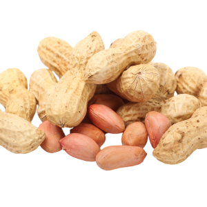 Peanut PNG