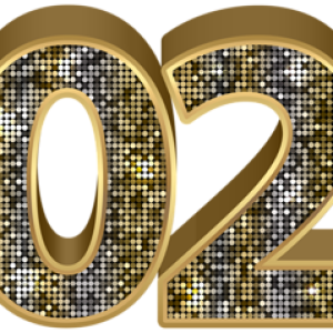2020 Year PNG