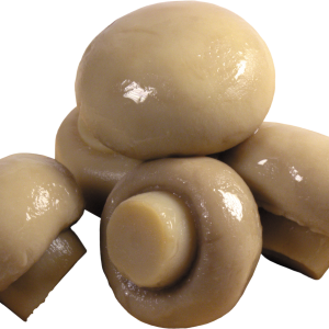 Mushroom PNG image
