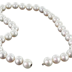 Pearl PNG