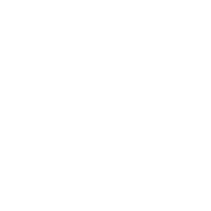 White snowflake PNG image