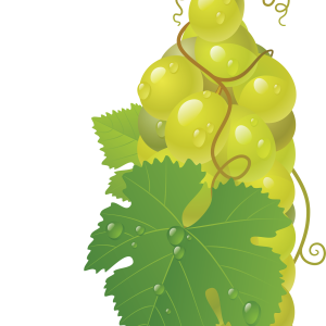 Green grape PNG image
