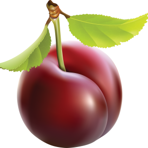Plum PNG image
