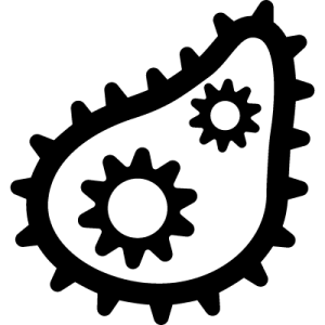 Bacteria PNG